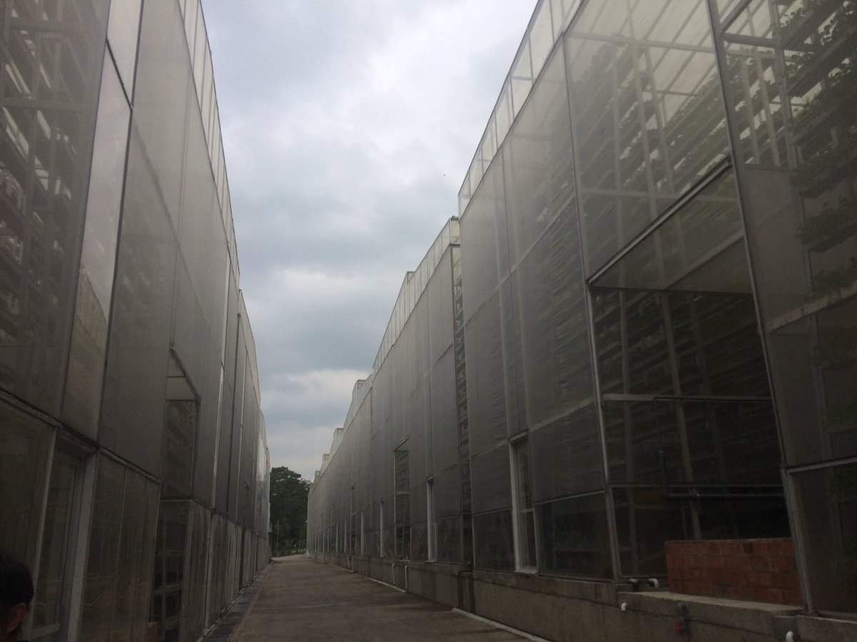 James_Coxx's tweet photo. Vertical farming at Kranji Farms Sky Greens - solution to Singapore's agricultural land capacity problem? #RASC2016 https://t.co/B55mlCVf2R