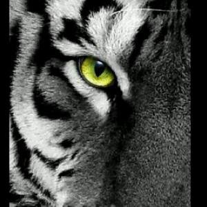 adelliiaa's tweet photo. Come join me, or you'll be left behind #BIGOLIVE.  https://t.co/D73hFOqNFz https://t.co/rz99ZNCqrb