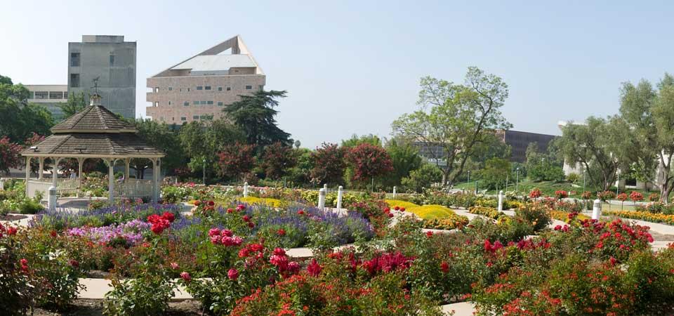 adriansandcpp's tweet photo. #AweNotes #201WGL a beautiful view of the campus and the soothing power of the roses makes for a perfect moment at the campus. https://t.co/y7g4OFo17z