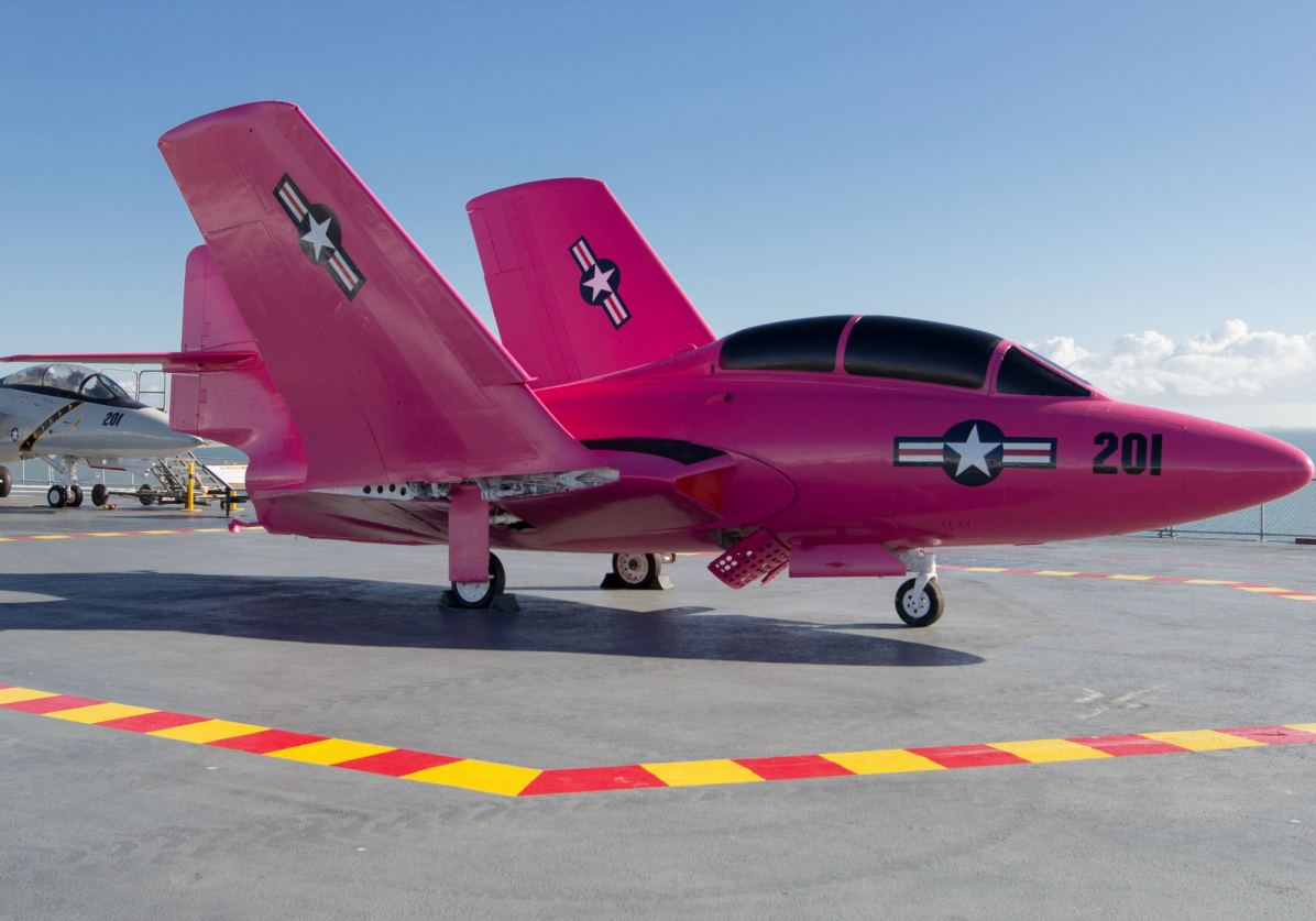 #POTD: The <a href="/USNavy/">U.S. Navy</a> displays a bright pink F9F-8 Cougar fighter jet as part of #BreastCancerAwareness month: frces.tv/I8PGUN