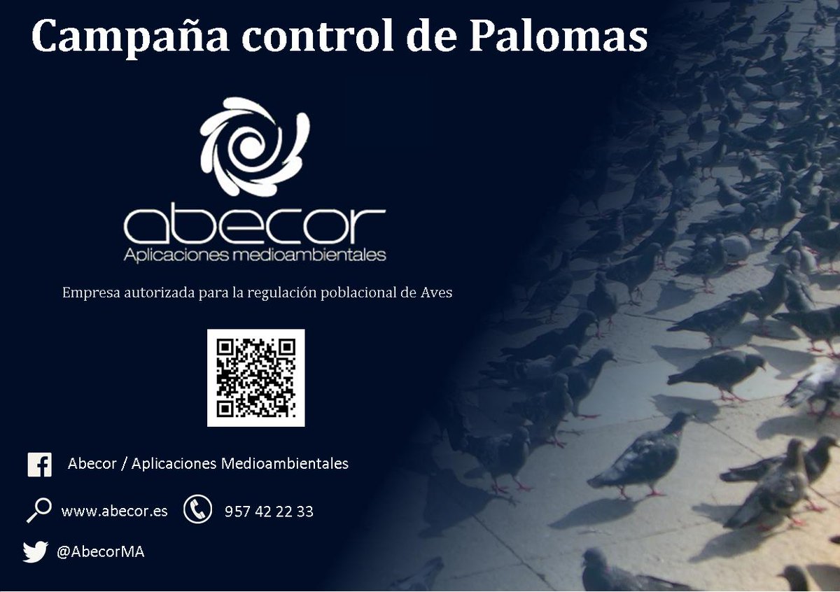 controldeaves's tweet photo. “Proyectos NIG”, basados en la #Normalización de procedimientos, #Investigación y comportamientos de las #Aves y #Gestión del #Hábitat. https://t.co/avhxxnaTaU