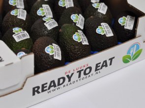 Ready to Eat tweet media