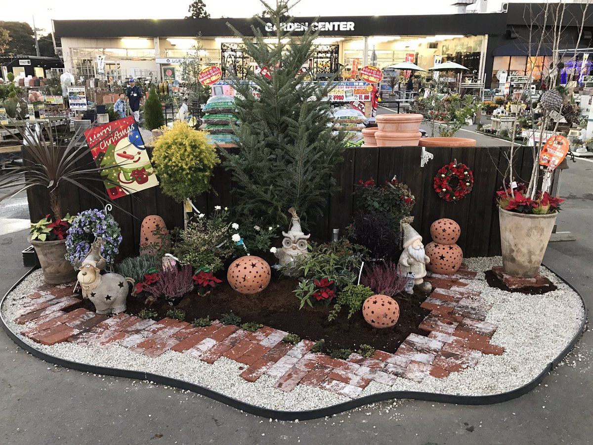 ジョイフル本田 ガーデンセンター Pa Twitter ガーデンセンター守谷店 今年の冬は ガーデンクリスマスを楽しんでみませんか お庭を華やかに楽しく彩る植物から置物雑貨まで各種取り揃えております
