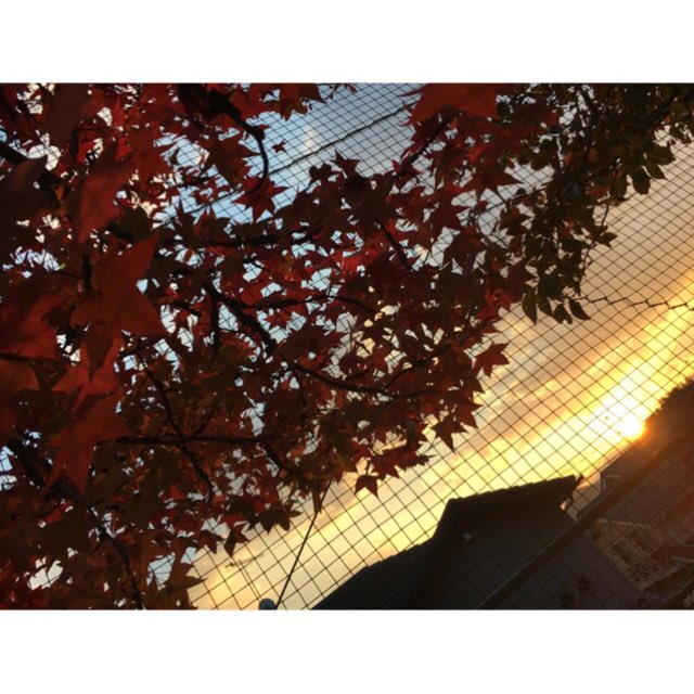 omiaran0131's tweet photo. ☺️🍁 https://t.co/4hVoLwD7i3