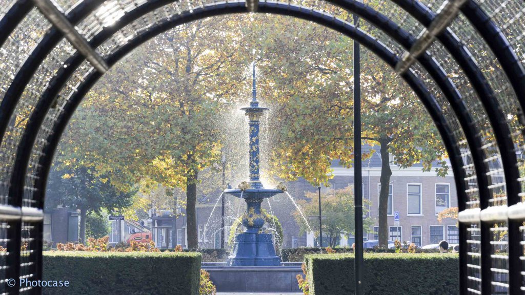 Herfst op het Beverwijcksplein (klik op de foto) oogopnederland.nl/dordrecht/2016…