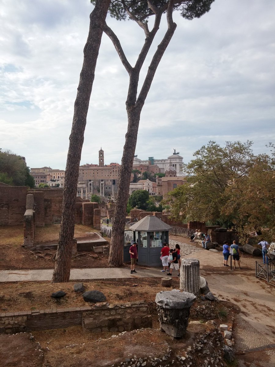 Lovely #Rome! ❤ #Roma #Rom #Sightseeing #altaredellapatria @VisitRoma @discoveroma @DiscoverLazio @DiscoverItalia instagram.com/internaturals