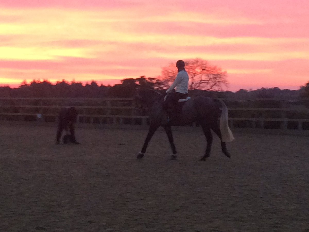 Beautiful morning <a href="/roddersdodders/">Kylie Roddy</a> for lessons with Ian with <a href="/AstonMullins/">Aston Mullins Stud</a> Romeo and ellie #EarlyDoors #beautiful