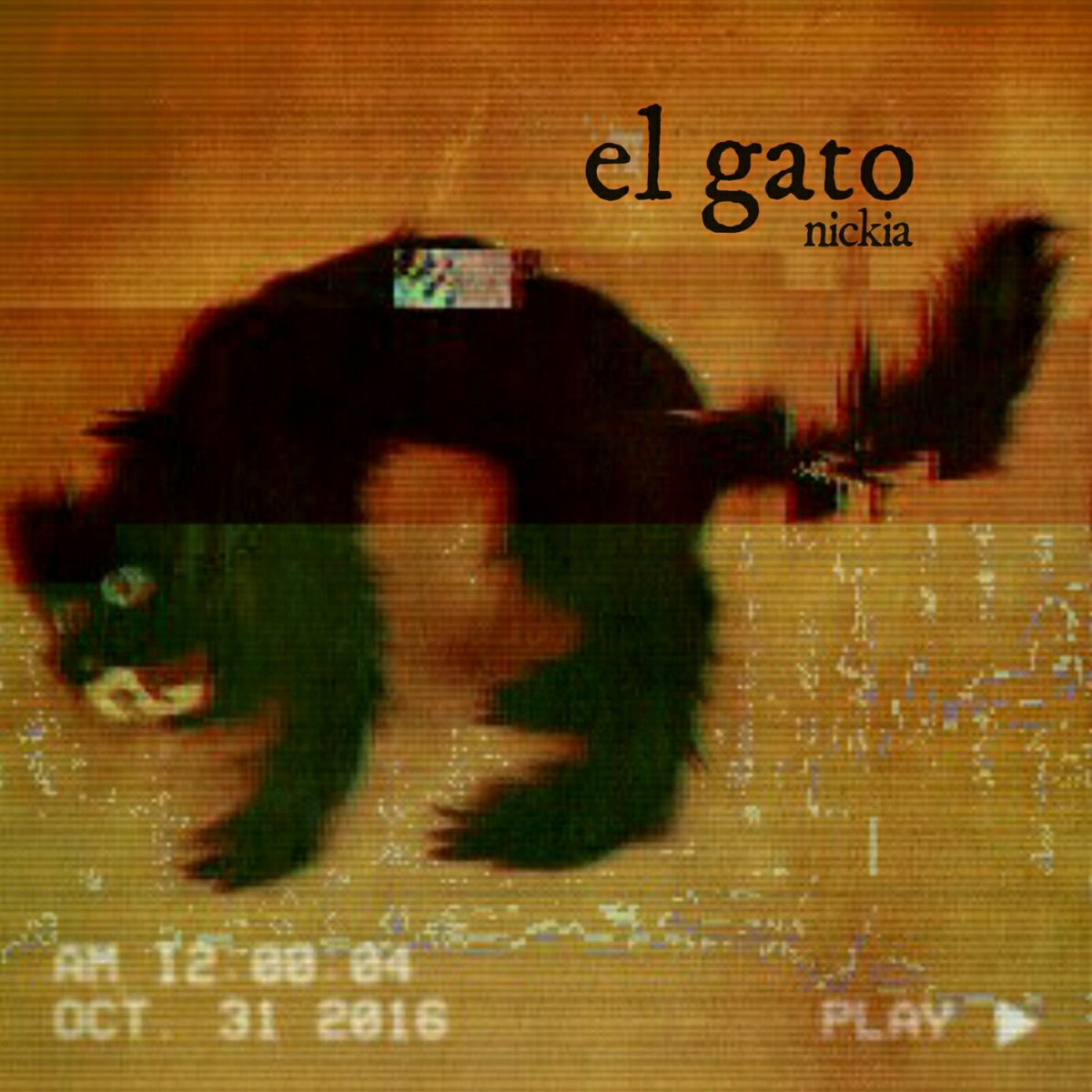 NickiaMusic's tweet photo. in under 72 hours, "el gato" is in the top 10 of our most streamed, advancing to #7. 
thank you. https://t.co/SFOGRFOMEv
