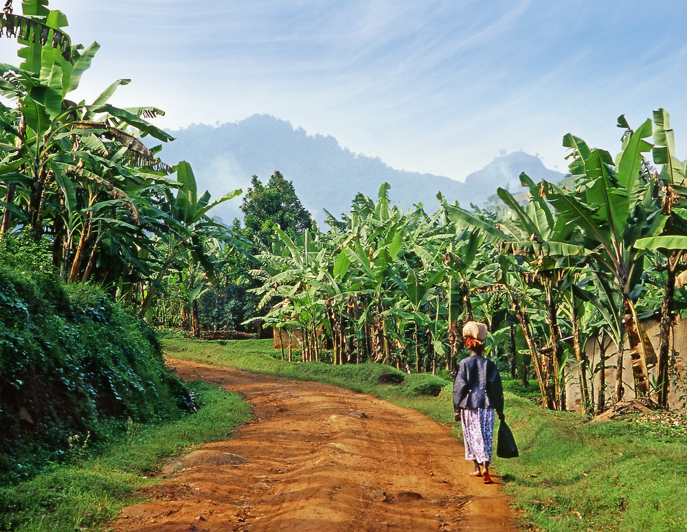 How make Integrated Landscape Management happen? Marie from <a href="/IUCN/">IUCN</a> #SUSTAIN explains it through the theory of change waterandnature.org/SUSTAIN/resour…