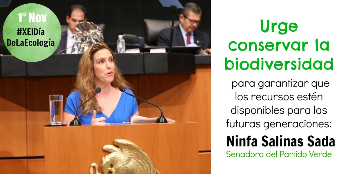 VerdeSenadoMex's tweet photo. #XElDíaDeLaEcología Presentamos una iniciativa que propone instaurar los #ProcesosOrales en materia de medio ambiente. https://t.co/CHsc7l5w4r