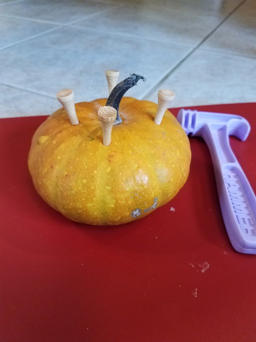 Portage_nanny's tweet photo. Having fun with gourds!  #ECE #gourd #hammerfun #golftees #toddler #manipulatives #nannylife #nannylove https://t.co/xvmFXAeMuf