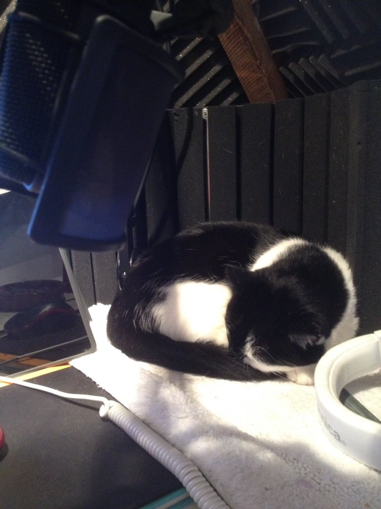 Cromerty's tweet image. Odd low-level rumbling being picked up by my mic. Think my setup&apos;s fine and have checked the cables. #audiohelp?