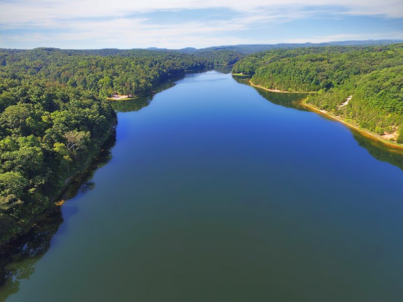 Grayhawk (Grayhawkmo) Twitter