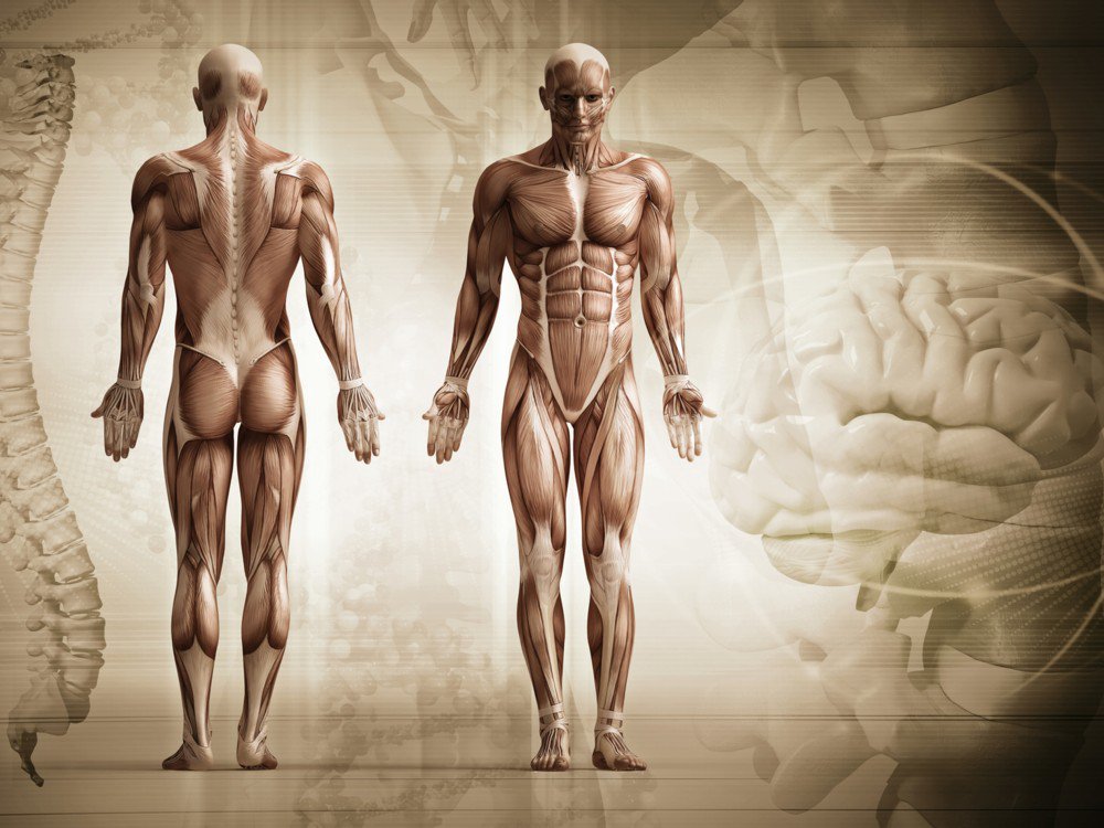 muyinteresante's tweet photo. Los mayores defectos del cuerpo humano: 
https://t.co/ouvZl5XKEh https://t.co/y0FjPsabbO