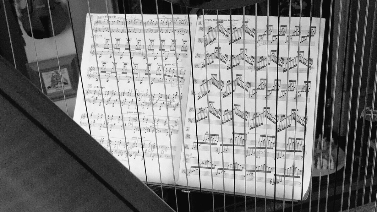 becmillsharpist's tweet image. Sunday 13th Nov 7:15pm @sage_gateshead @cobweborchestra #practicetime #harpconcertoprep #howmanynotes m.sagegateshead.com/event/the-cobw…