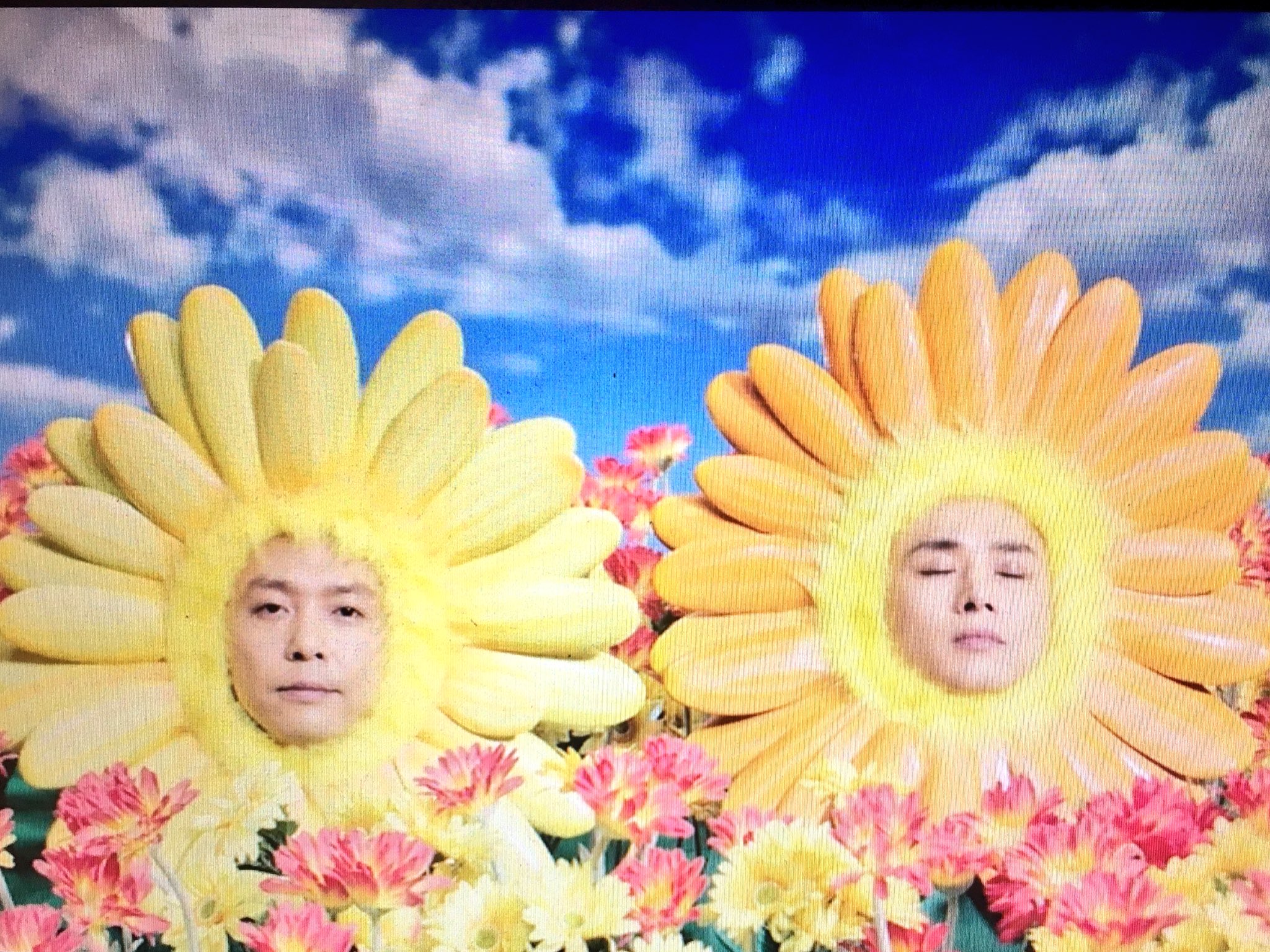 【超美品】【おまけ付】 KinKi Kids 道は手ずから夢の花 A4ファイル 道は手ずから夢の花｜KinKi Kids｜ELOV-Label