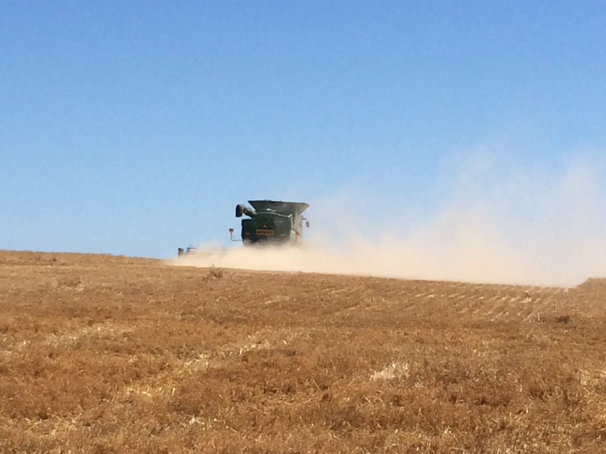 pearsons_ag tweet media