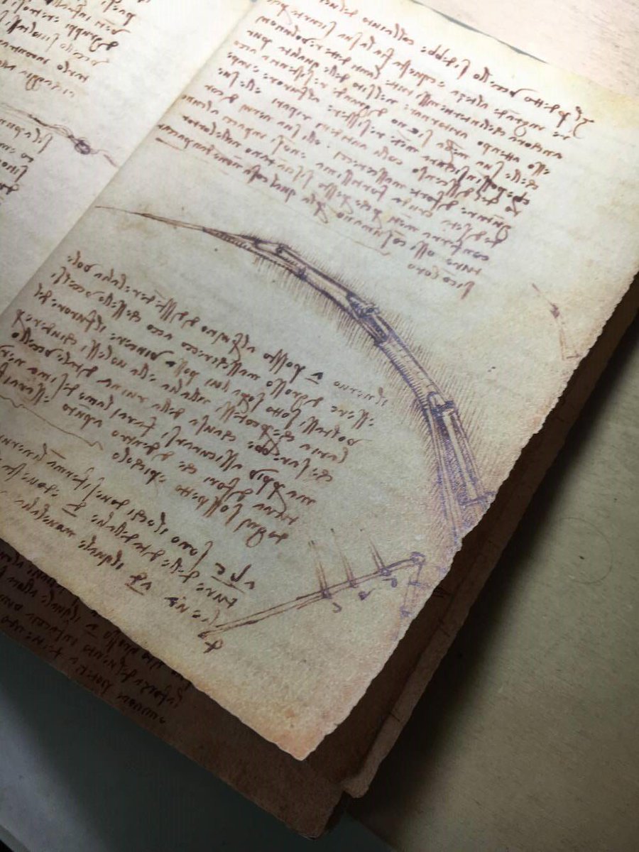 ApocrifadaVinci's tweet image. Leonardo da Vinci, codex on Flight of Birds.
ebay.com/itm/Leonardo-d…
#CollezioneApocrifadaVinci #PaperSculpting #ArtReplica #Handmade #Art