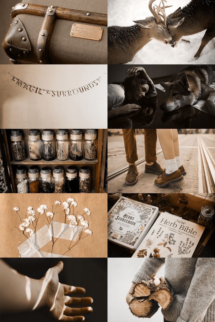 Hwyaden Promo. tweet media