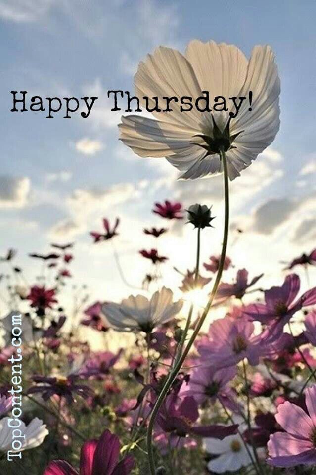 Emma Jane Thomas On Twitter Good Morning Beautiful Souls Happy Thursday Have A Beautiful Day Thursday Goodmorning Pintrest Beautifulsouls Positivevibes Https T Co X4hkhulpq7