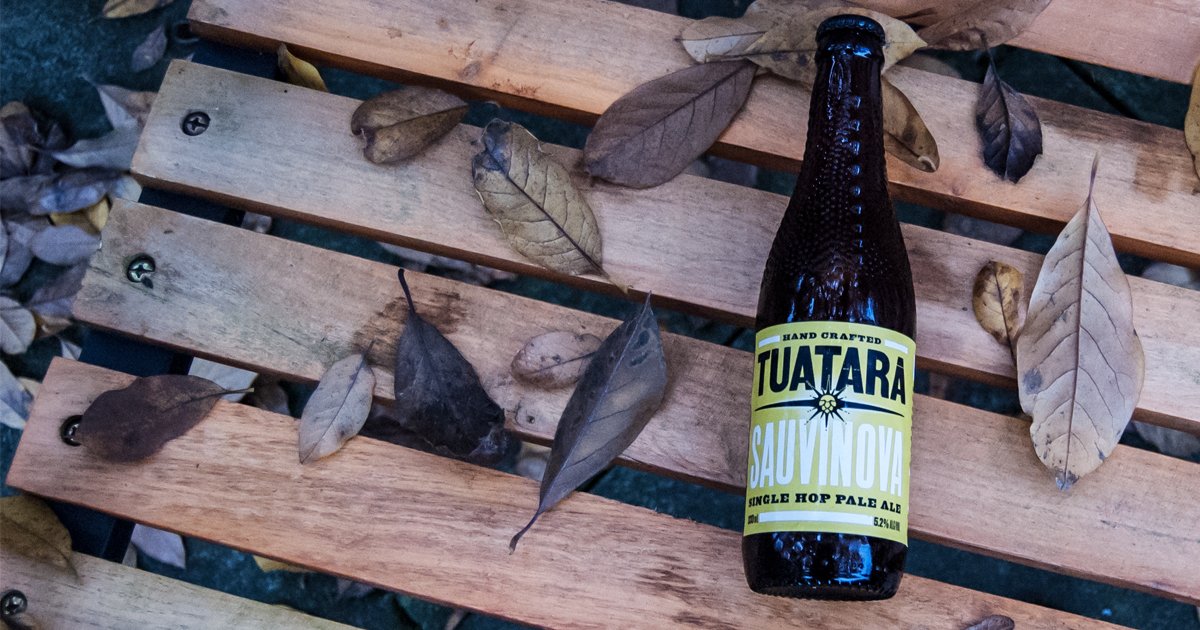 HonestBrew's tweet photo. A single hop @TuataraBrew pale ale exploding with the distinctive tropical gooseberry notes that made its grape namesake famous. #HonestPick https://t.co/XZettgKsrt