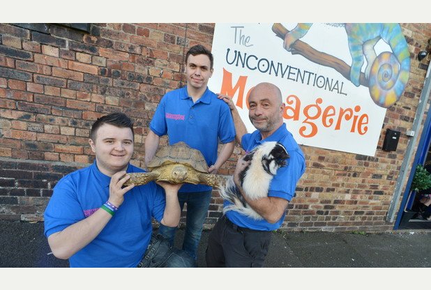 Grove_Academy_'s tweet photo. Staffordshire Exotics Society opens centre with monkeys, snakes and meerkats in Hanley: https://t.co/PO8POks0UR https://t.co/AkPMcwJd3e