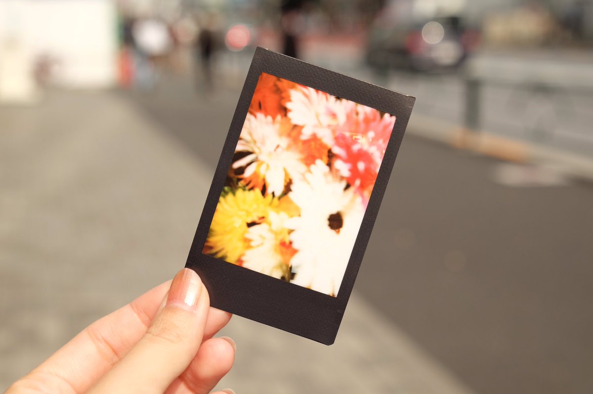 Wonder Photo Shop ワンダーフォトショップ Twitter પર 大人気 お問い合わせの多いブラックフレーム モノクロ チェキフィルムを改めてご紹介 チェキ本体にいつも通りにセットするだけで オシャレな作品みたいな写真が撮れちゃいます アートなチェキ Wonder Photo Shop ワンダーフォトショップ Twitter પર 大人気 お問い合わせの多いブラックフレーム モノクロ チェキフィルムを改めてご紹介 チェキ本体にいつも通りにセットするだけで オシャレな作品みたいな写真が撮れちゃいます アートなチェキ