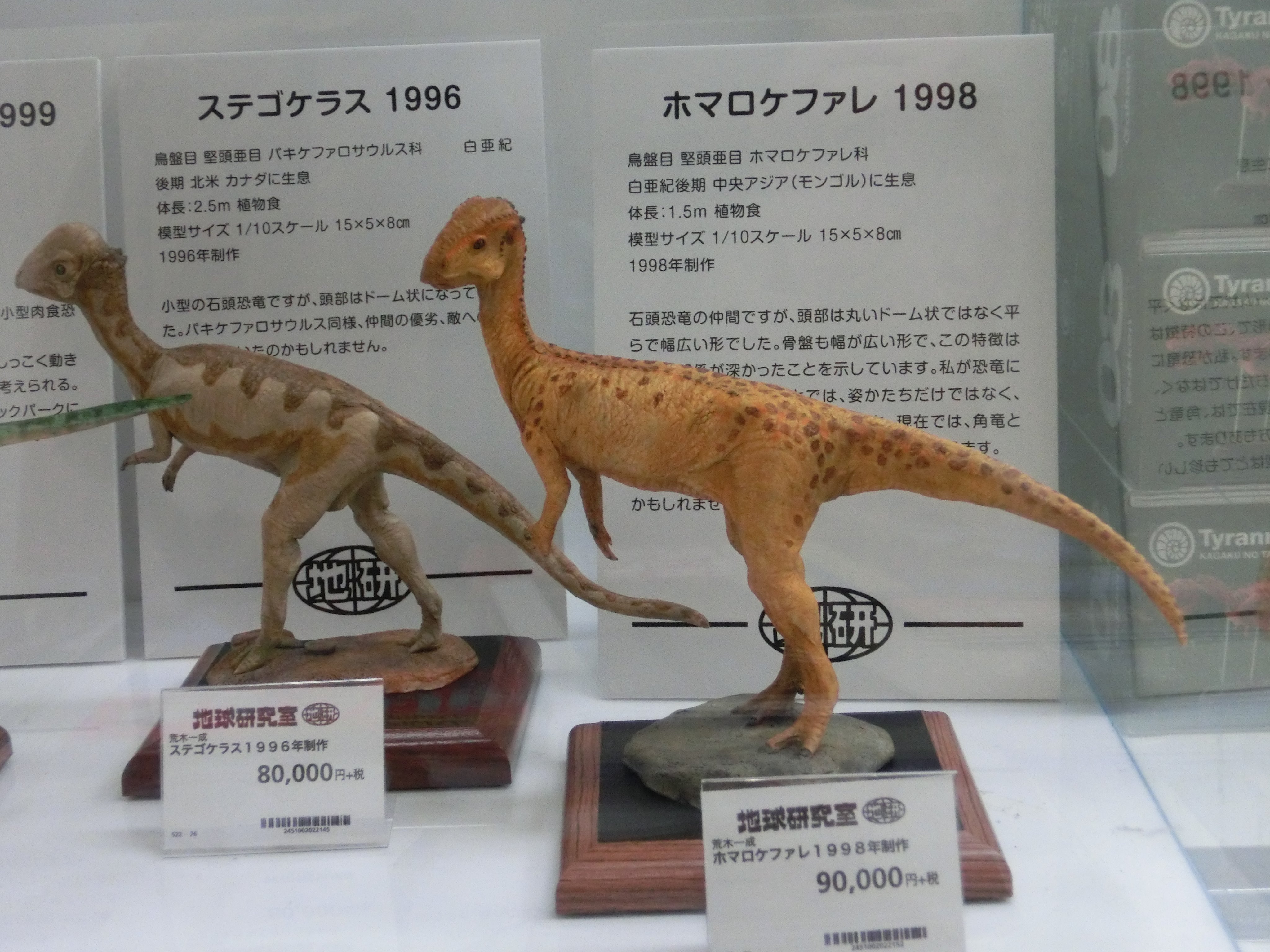 Asa ホマロケファレがカッコいい そもそもフィギュア化されているのが珍しい種でもあり お値段も 他のと比較して 手頃なので 購入するならこの子だな と散々悩んでました 結局断念したので 欲しい方は狙い目ですよ 笑 T Co
