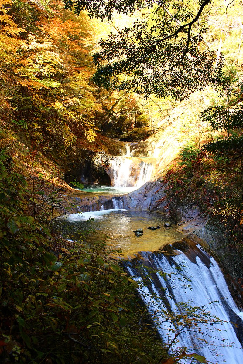 山梨市観光協会 V Twitter 西沢渓谷は ちょうど紅葉が見頃を迎えています 落ち葉で足元が滑りやすいのでご注意を また 全体的に歩きやすいコースですが 一部危険な箇所もございます 紅葉狩り おしゃべり 写真撮影などに夢中ですと滑落の危険もございます