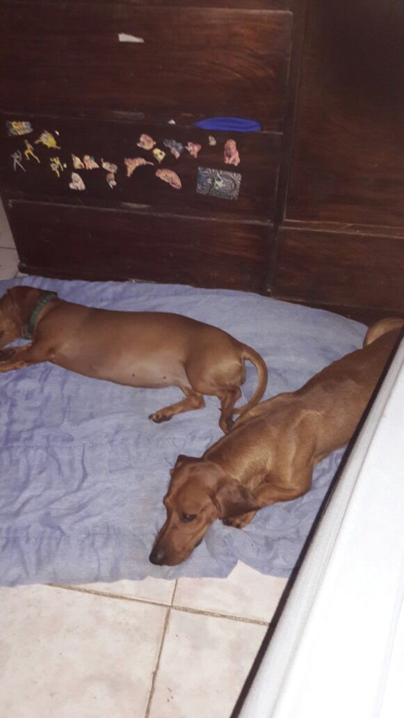 cutercito's tweet photo. -Seguramente tenes muchas que te escriben, por eso todo el dia estas en linea..
-.. https://t.co/l9T9KljviU