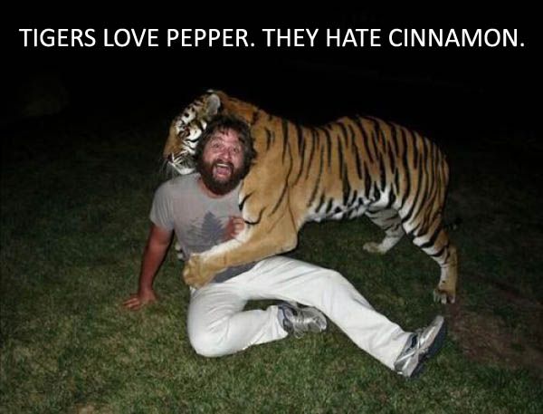 PARKWESTAPTS_MS's tweet photo. Good advice by Alan from the Hangover. #alanquotes #hangover #tigershatecinnamon https://t.co/V278UPOxeL