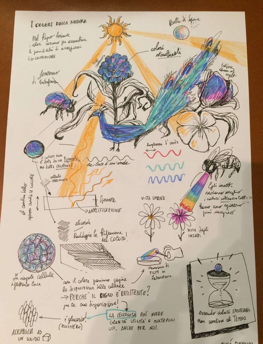 VignoliniLab's tweet photo. Great artwork explaining #structuralcolors by Nicolo' Minoglini @FDellaScienza at #genova! https://t.co/LsHpaSLFGp