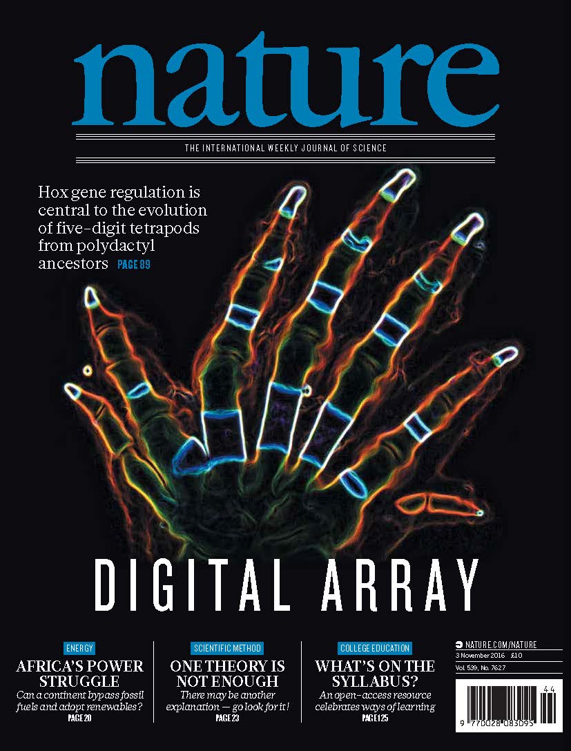 NaturePortfolio's tweet image. On the cover: Hox gene regulation is central to the evolution of five-digit tetrapods from polydactyl ancestors go.nature.com/252hI6G