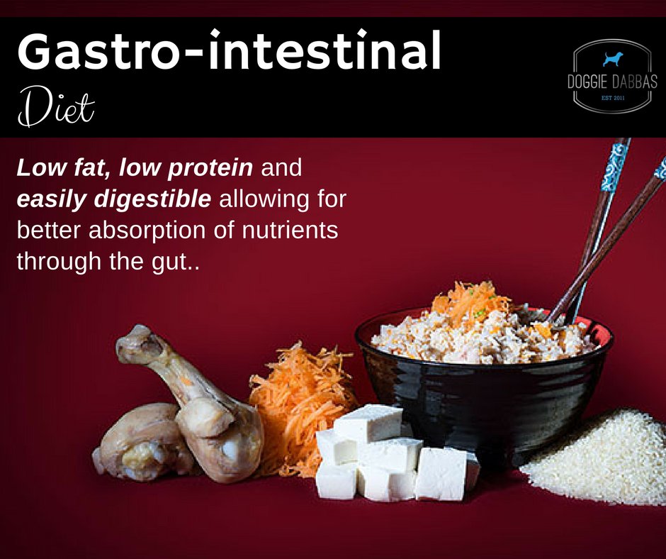 doggiedabbas's tweet photo. For pet parents who have dog’s suffering from GI Disease, our specially designed diet is guaranteed to do the trick. #gastro #customdiets https://t.co/oiSHhtZU32