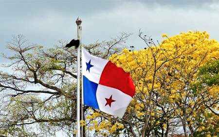 ChavoGarciaPRD's tweet photo. #VivaPanamá: Hoy todos los panameños conmemoramos con alegría, los 113 años del nacimiento de nuestra nación tras su separación de Colombia. https://t.co/zypPewG4ci