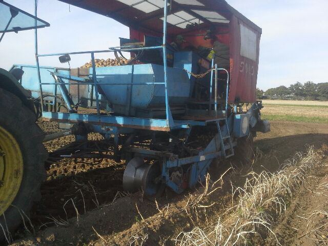 motherhubbarduk's tweet photo. Clay pit farm Necton doing a great job of getting our #naturalgrown #markies potatoes harvested &amp;a stored for the winter #localgrown https://t.co/YT8Rf05Y4g