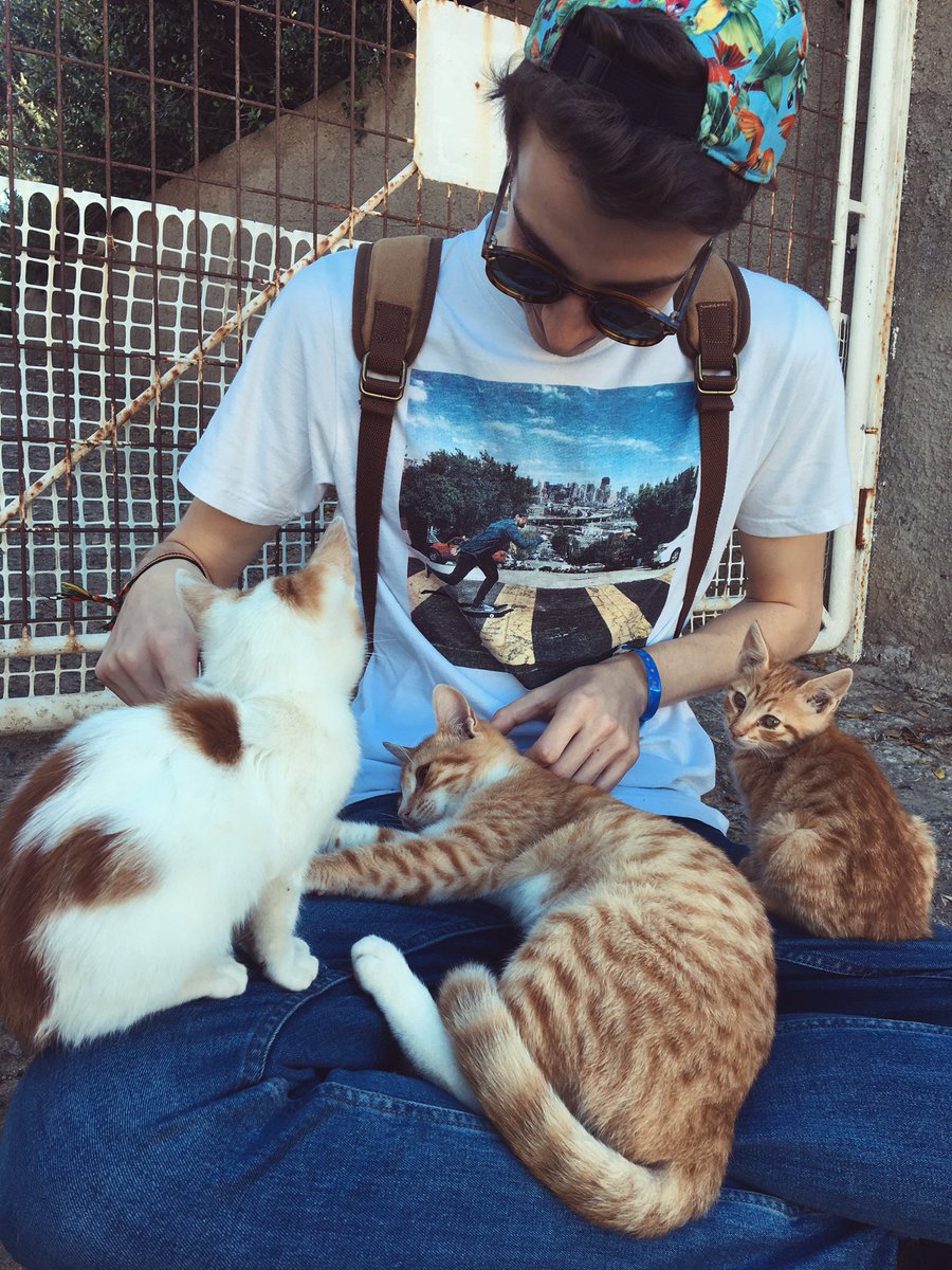 FelixRotpilz's tweet photo. Nennt mich Felix den Katzenflüsterer.😏🐈 #hörejetztaufmitkatzenfotos https://t.co/lqK5XSlWSX