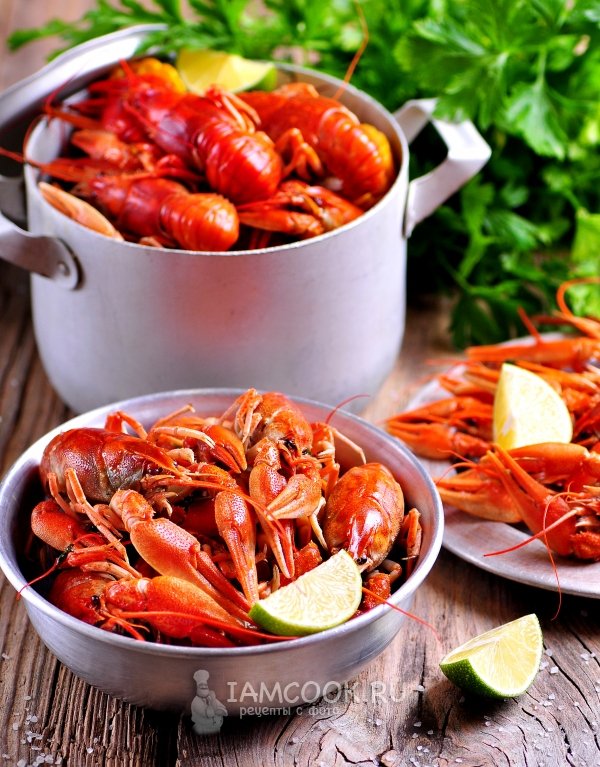 Раки вареные с кукурузой от Татьяны. Смотрите пошагово — iamcook.ru/showrecipe/9917

#рецепт #раки #закуска