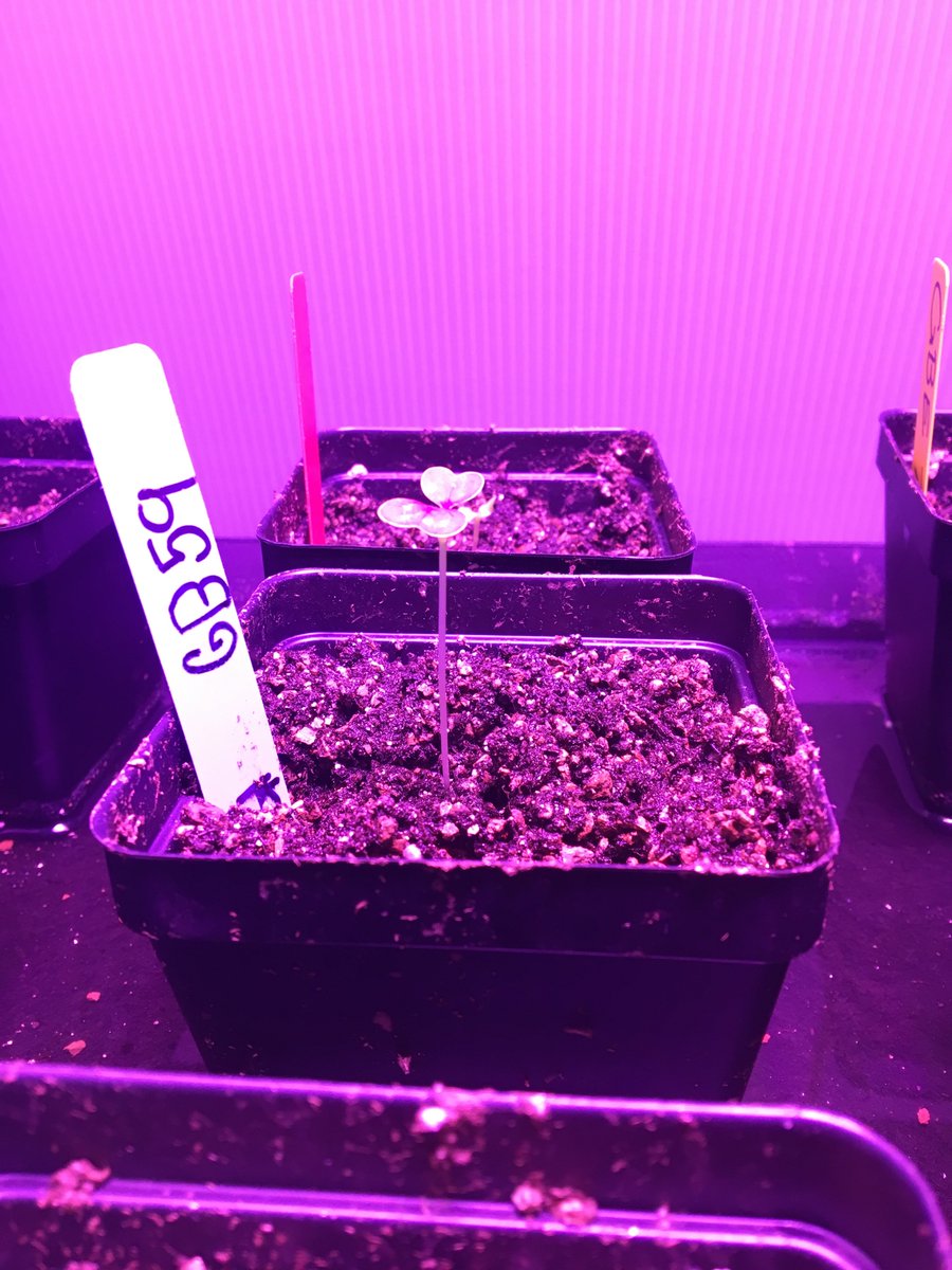 3, 2, 1 Ready for lift off!!!