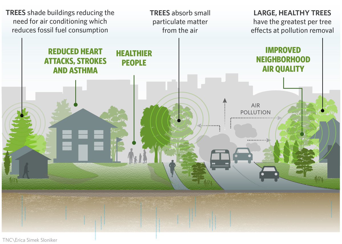 Reduce the need. Эффекты Air pollution. Reduce Air pollution. Air pollution in the Cities. Trees and Air pollution.