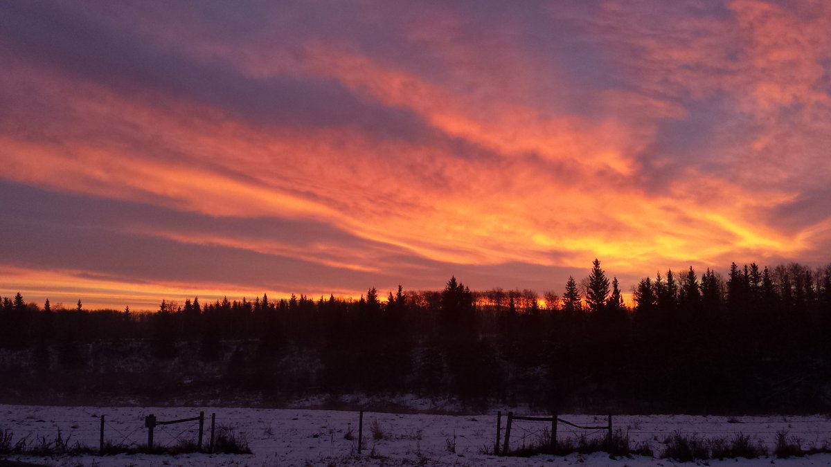 JustEnjoyPhoto's tweet photo. #BeenMissingThis #Beautiful #sunrise #NoFilter #livingskies #SK #LoveWhereILive #LoonLake #JustEnjoyPhotography https://t.co/wYepiDkPYK