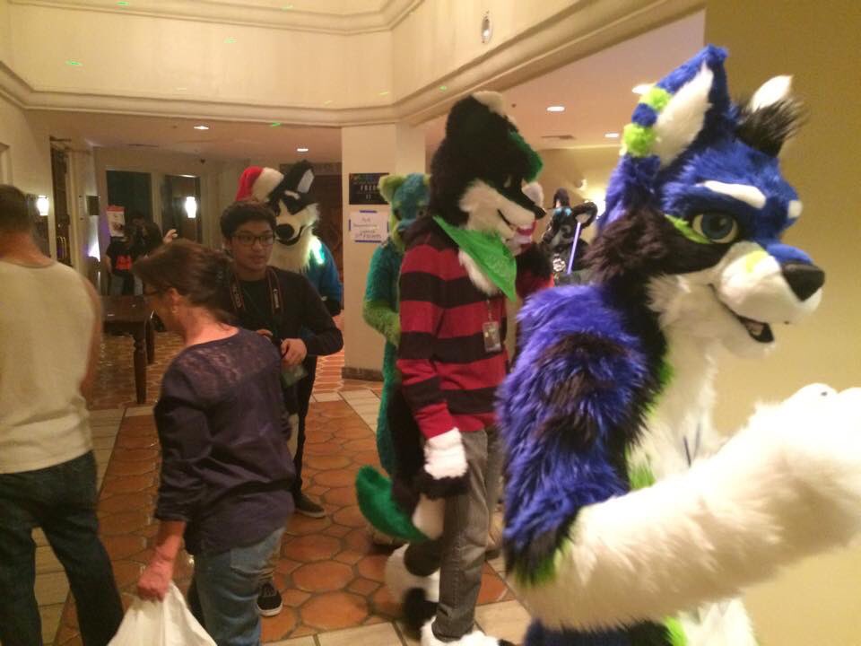 Diesel_Derp's tweet photo. The first time I saw green diesel.... he still was a total homo @WbbFuzz #AFC2014 https://t.co/8JGdy0jJZ3