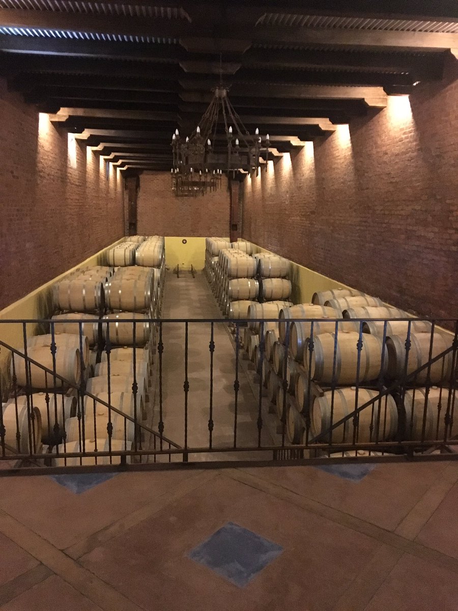 BoutiqueWT's tweet photo. Disfrutando la experiencia del vino en @LauraHartwig_ Valle de #Colchagua  #WineLover @movichile https://t.co/SJeqVJn2PK