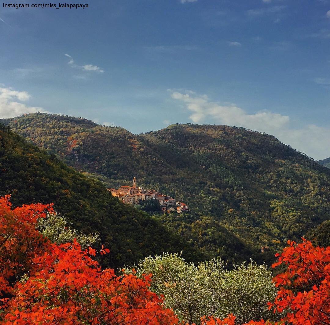 Italia_fra's tweet photo. 🍂 #FoliageinItaly
Toujours époustouflant la vue en #Atomne du Château Vittorio en #Ligurie #Liguria
https://t.co/Kw6WNSxikz…
#IlikeItaly https://t.co/qK37Xss9ie