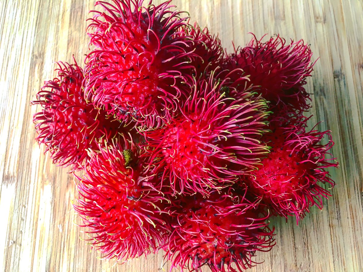 lemonipizza's tweet photo. Thank you @el_bajareque  for the lychees !!!
#miami #miamidesigndistrict #wynwoodmiami #wynwoodlife #midtownmiami #brickell  #food # https://t.co/2VZntwbQCi