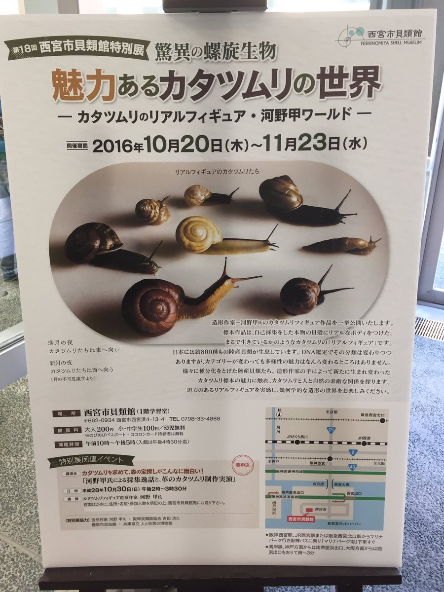 inapty's tweet photo. カタツムリの企画展もあり、今回は海の貝よりカタツムリの方が多いくらいだった。外国のカタツムリが色彩豊か。メインの展示は、殻が本物で軟体部分がリアルフィギュアというカタツムリの展示で、面白い見せ方だと思った。ミスガイとかのウミウシバージョンも見てみたい。 https://t.co/tbQr3XrvhV