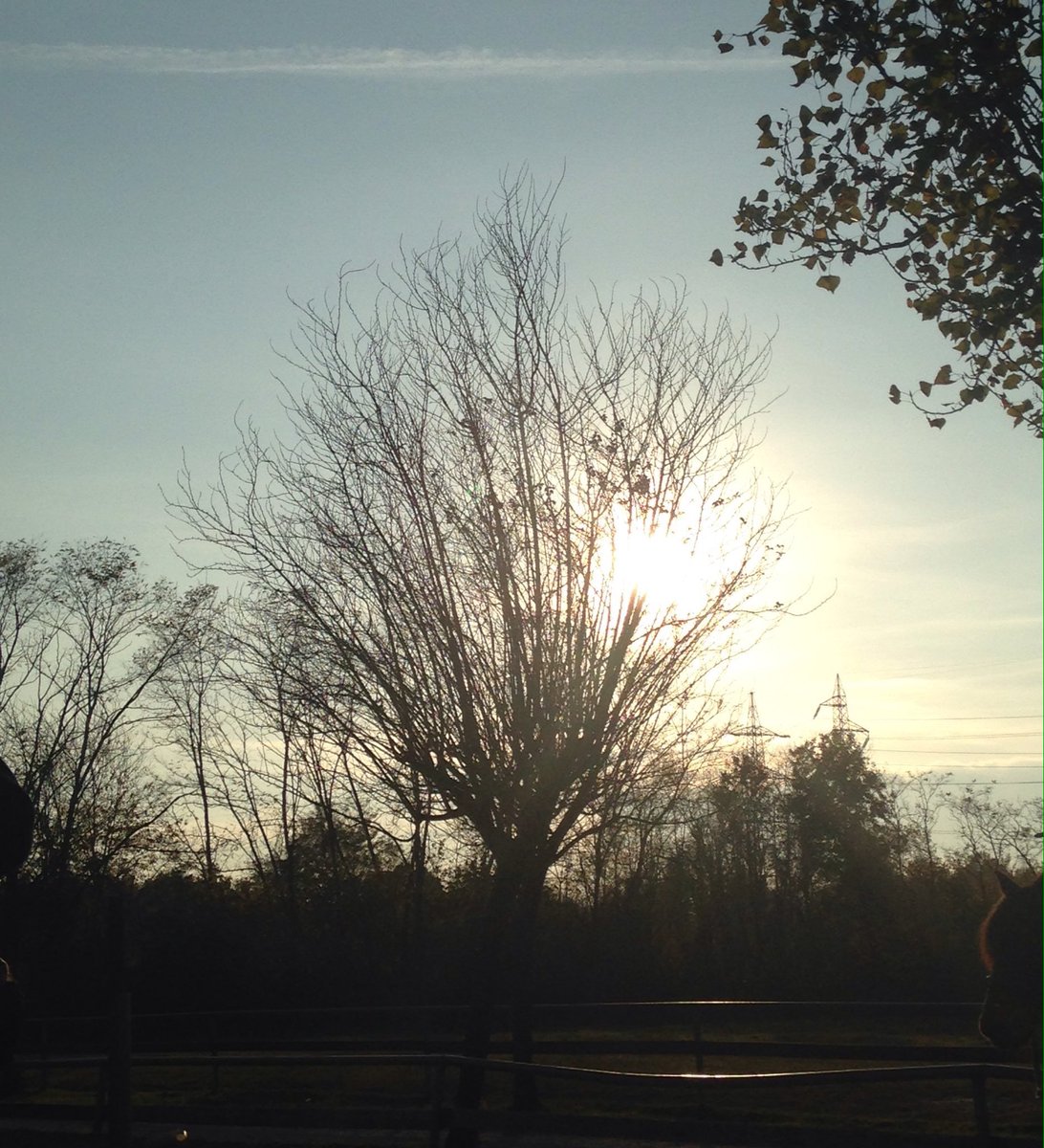 Caterella82's tweet photo. Every sunset is the promise of a new dawn #sunset #shadowsandlights https://t.co/UCjWViwb1q