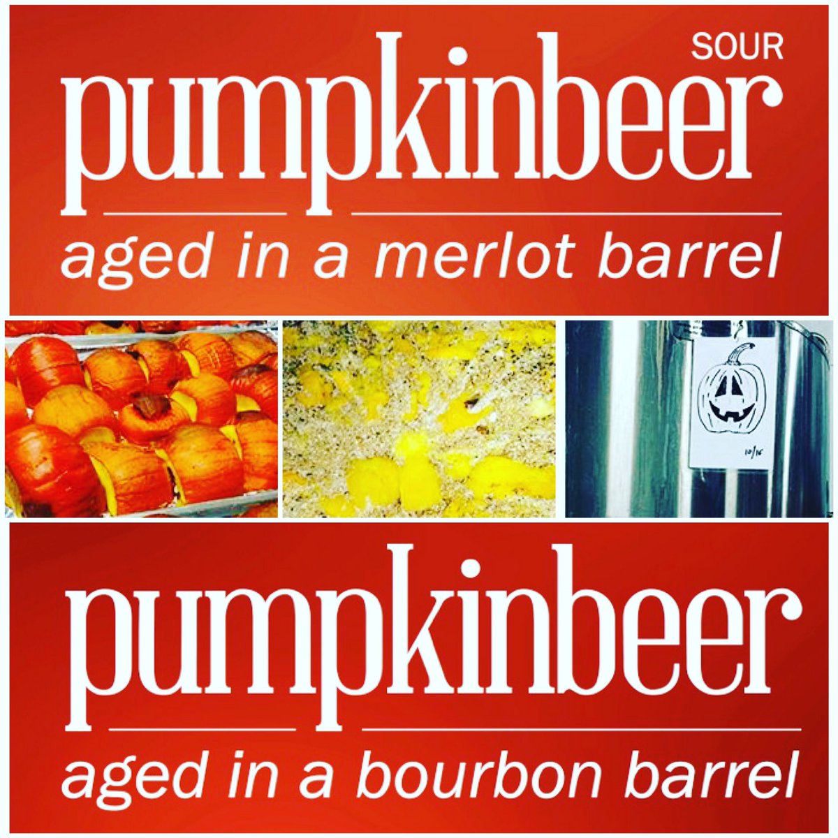 Under The Rose tweet media