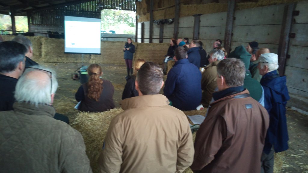 FlockHealth's tweet photo. Great @RamCompare meeting @ Thistleyhaugh #lambgrowth #tiptoptups #teamsheep https://t.co/HFIUjvRSn1