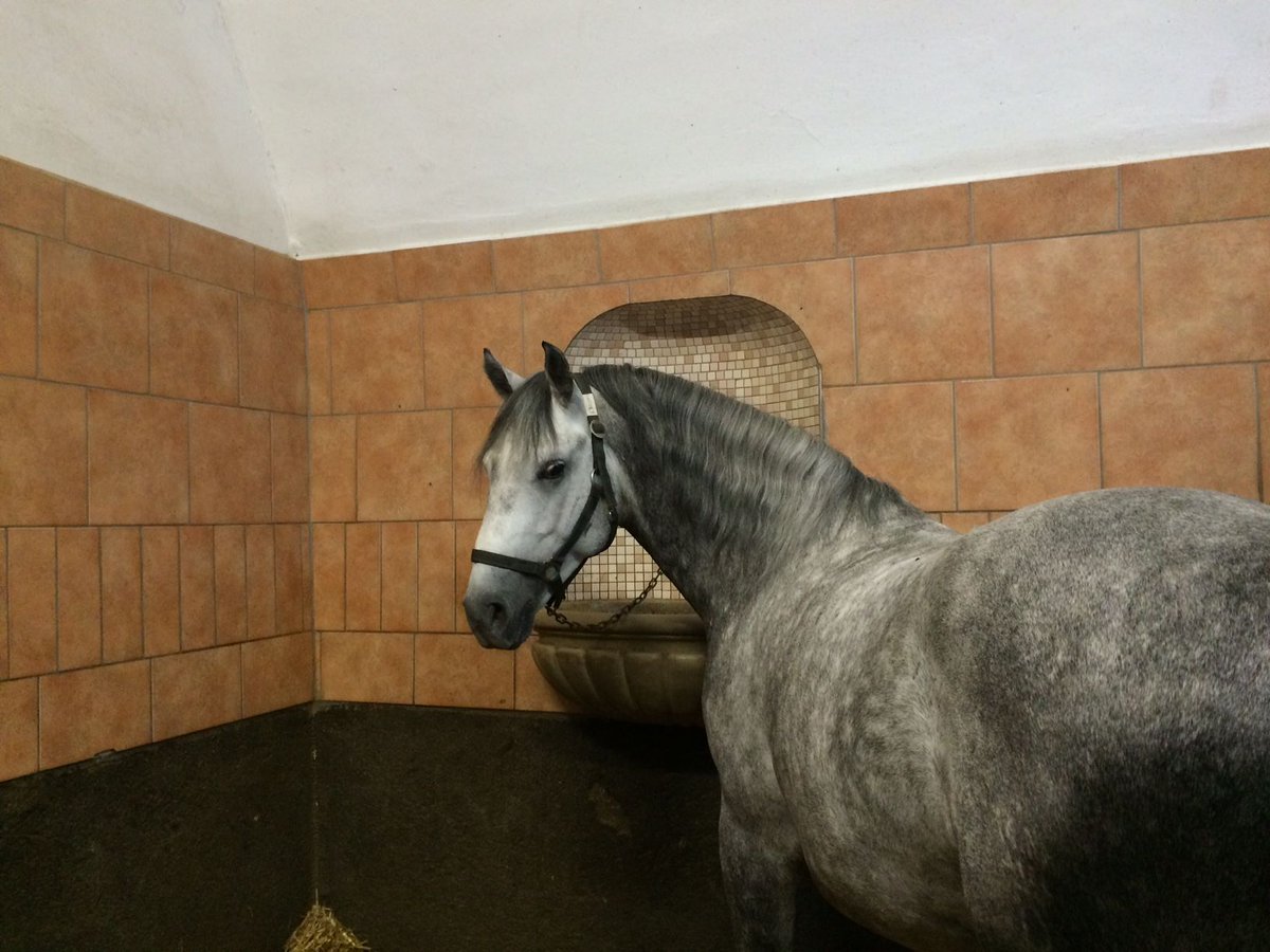 Happy Weekend #Vienna - Schönes Wochenende #Wien!